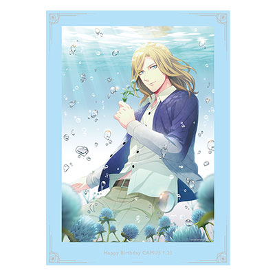 ビジュアルボード カミュ