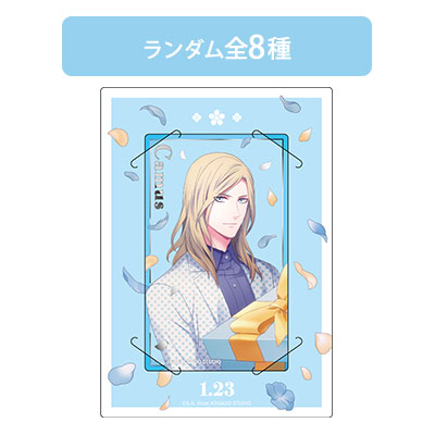 カスタマイズビジュアルカードコレクション カミュ