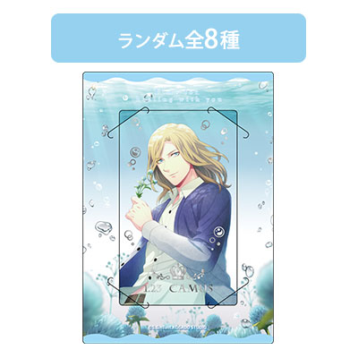 カスタマイズビジュアルカードコレクション カミュ