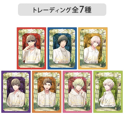 【Box販売】カスタマイズビジュアルカードコレクション