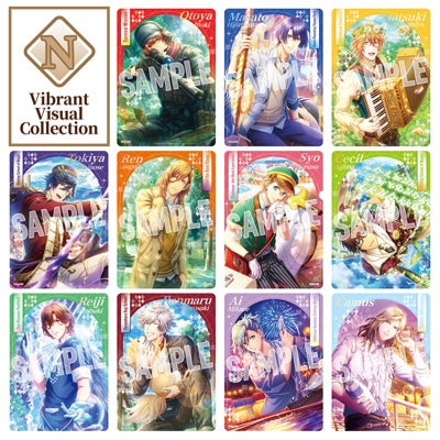 Vibrant Visual Collection