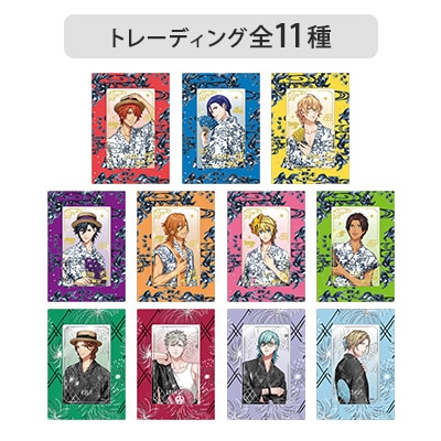【1Box12Pack入り】カスタマイズビジュアルカードコレクション