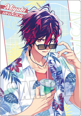 【10Packセット】UN:LOGICAL トレーディングクリアカード LicoBiTs FESTA -W Vacation- Ver. 約縦127×横89mm