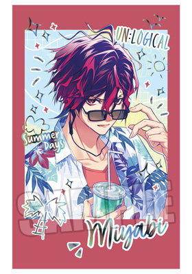 【10Packセット】UN:LOGICAL トレーディングフォト風カード LicoBiTs FESTA -W Vacation- Ver. 約縦85×横54mm