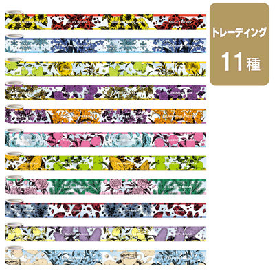 うたの☆プリンスさまっ♪DVD box付き　セット うたプリ SSS LOVE in DREAM DVD アニメイト限定セット うたの