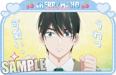 30歳まで童貞だと魔法使いになれるらしい　ダイカットステッカー「D」 約長辺100×短辺65×厚さ0.3mm