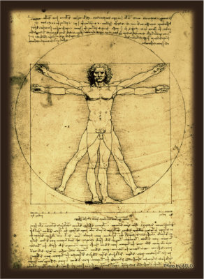 ブロッコリーハイブリッドスリーブ レオナルド・ダ・ヴィンチ「ウィトルウィウス的人体図」 67×92mm