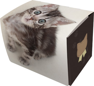 緑ゾロデッキ　リーパラ　スリーブ付き 構築済みデッキ〕 緑ゾロ | デッキ販売 | ワンピースカード